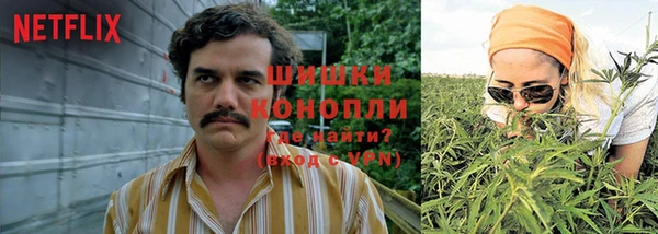 гашишное масло Магас