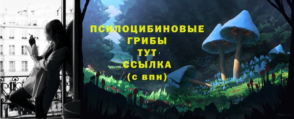 тгк Магадан