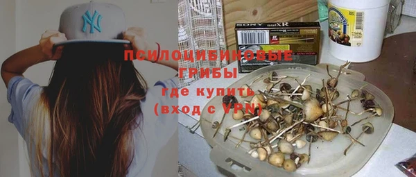 тгк Магадан