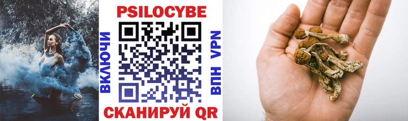 Галлюциногенные грибы прущие грибы  купить   Кингисепп 