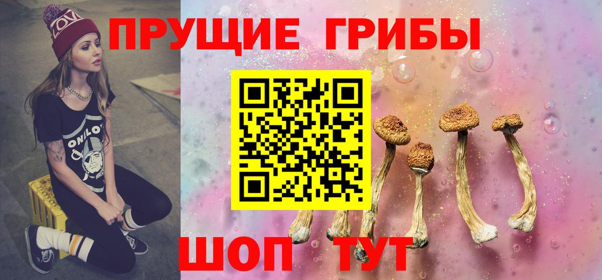 Галлюциногенные грибы ЛСД Кингисепп