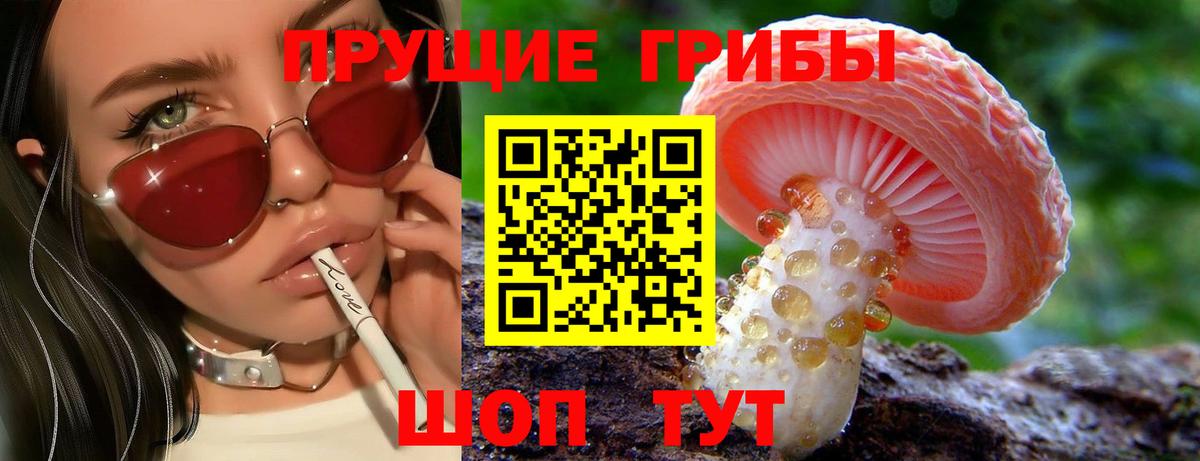 Галлюциногенные грибы мухоморы  Псилоцибиновые грибы Cubensis  Кингисепп  купить закладку  Вход с VPN 