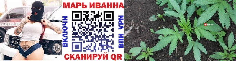 наркота  OMG зеркало  Канабис ГИДРОПОН  Кингисепп 
